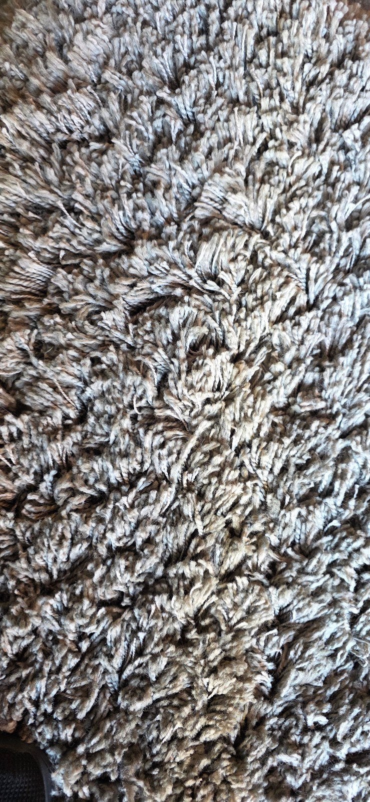 kleed ( schaap), 150 tot 200 cm, 200 cm of meer, Ophalen of Verzenden, Zo goed als nieuw