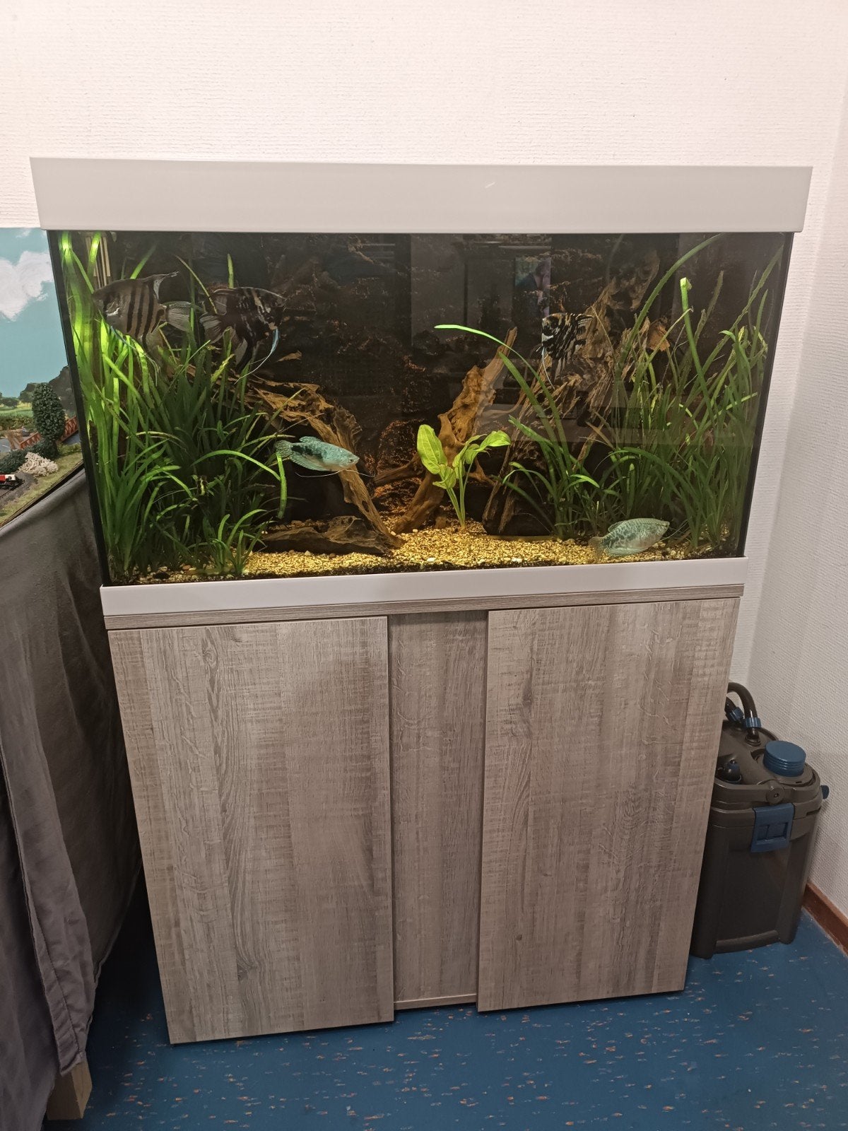 Compleet Aquarium met meubel, Dieren en Toebehoren, Ophalen, Zo goed als nieuw, Gevuld zoetwateraquarium