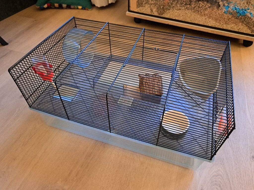 Hamsterkooi, Kooi, Gebruikt, Minder dan 75 cm, Cavia