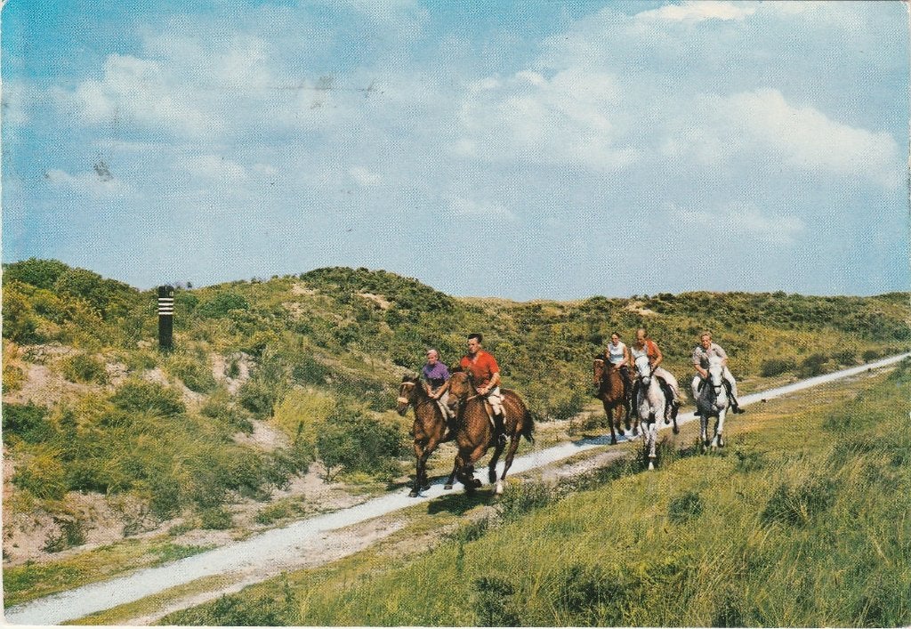 TERSCHELLING Paarden Duinlandschap, Verzenden, 1960 tot 1980, Gelopen, Waddeneilanden