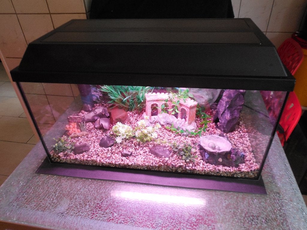 compleet 60 cm aquarium met toebehoren/inrichting, Dieren en Toebehoren, Ophalen, Verwarming, Gebruikt, Leeg aquarium