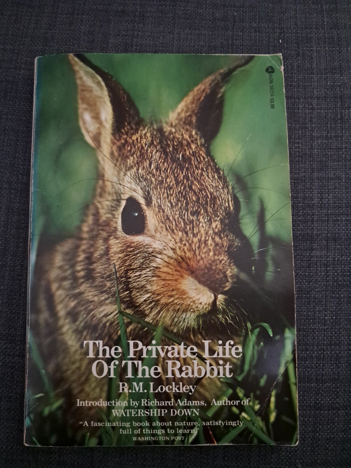 The Private Life Of The Rabbit - R.M.Lockley, Boeken, Ophalen of Verzenden, Vogels