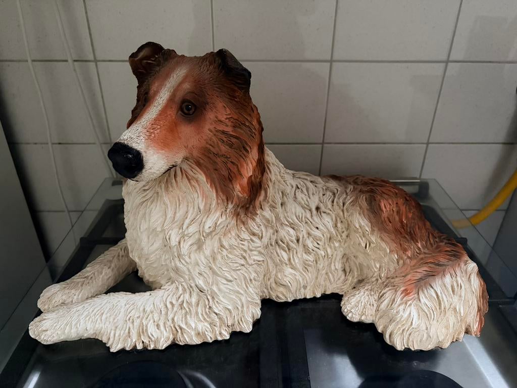 Collie, Ophalen, Gebruikt, Dier
