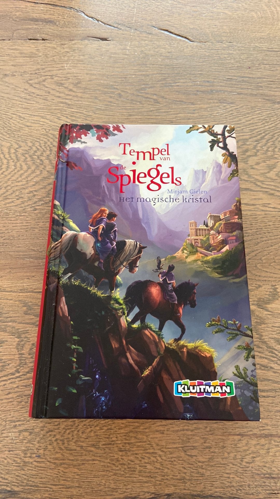 Tempel van de spiegels, Ophalen of Verzenden, Zo goed als nieuw