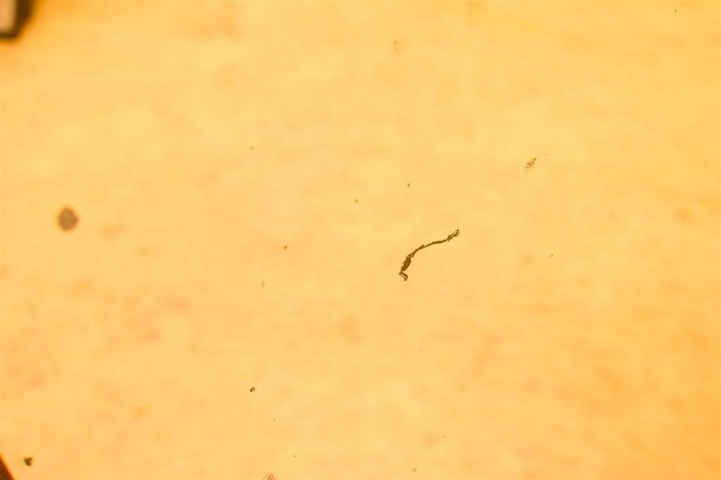 wandspiegel 48784, Ophalen of Verzenden, Gebruikt, Rechthoekig, Minder dan 100 cm