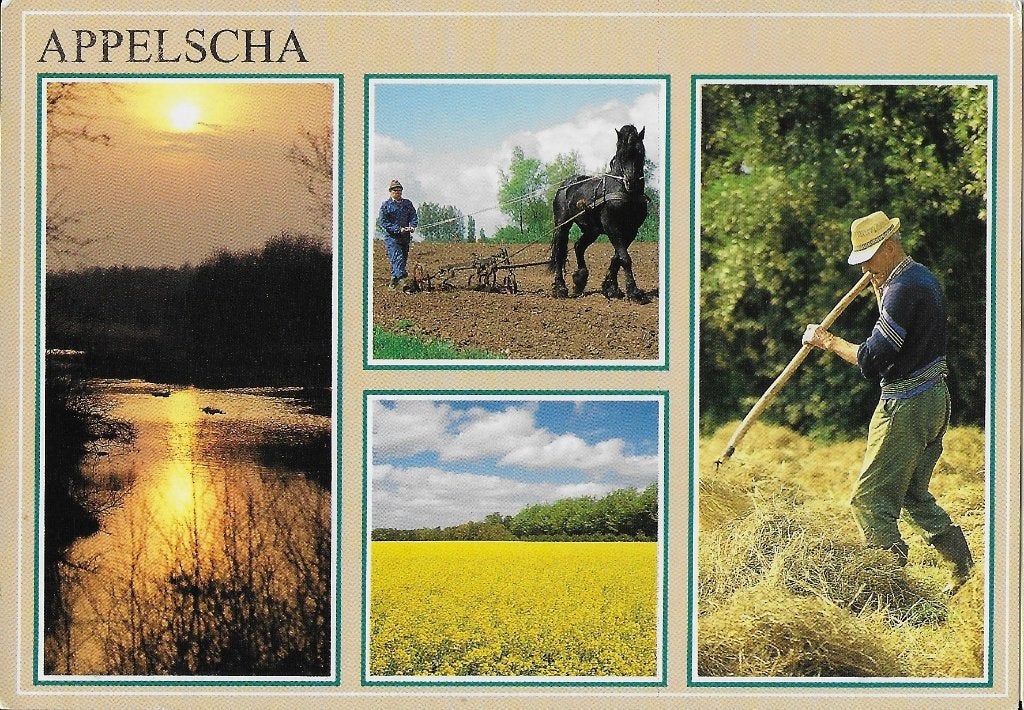 Q2516 Gelopen ansichtkaart appelscha, Ophalen of Verzenden, 1980 tot heden, Gelopen