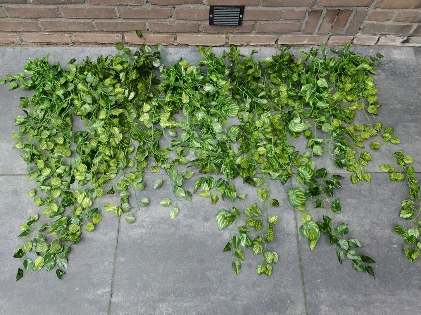 Kunst Klimop Realistische Groene Decoratie 10 stuks!!!, Ophalen