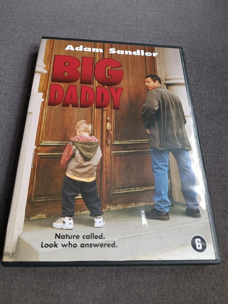 Big daddy - dvd, Alle leeftijden, Ophalen of Verzenden, Zo goed als nieuw, Romantische komedie
