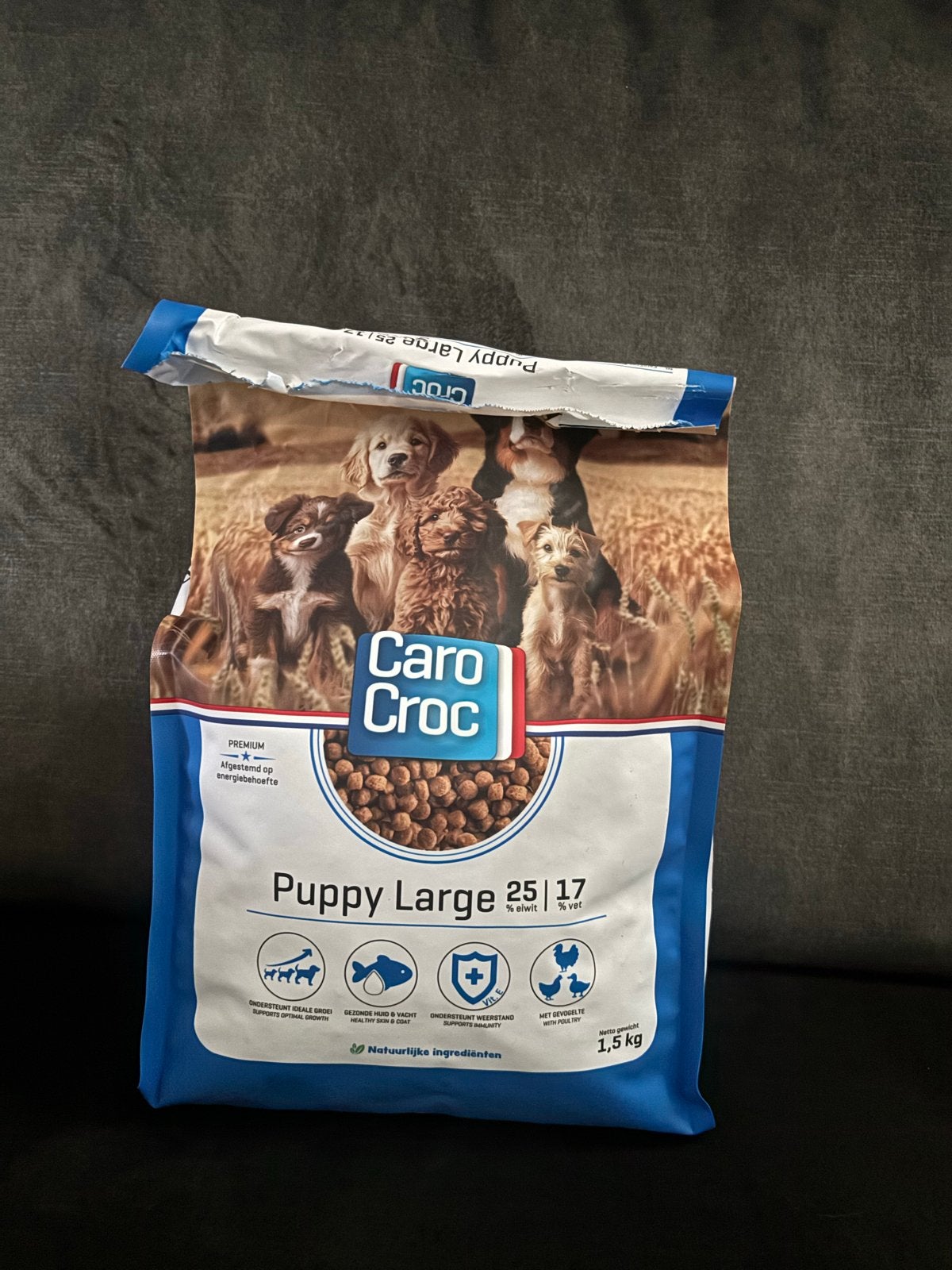 Puppy brokken - Caro Croc, Ophalen, Hond