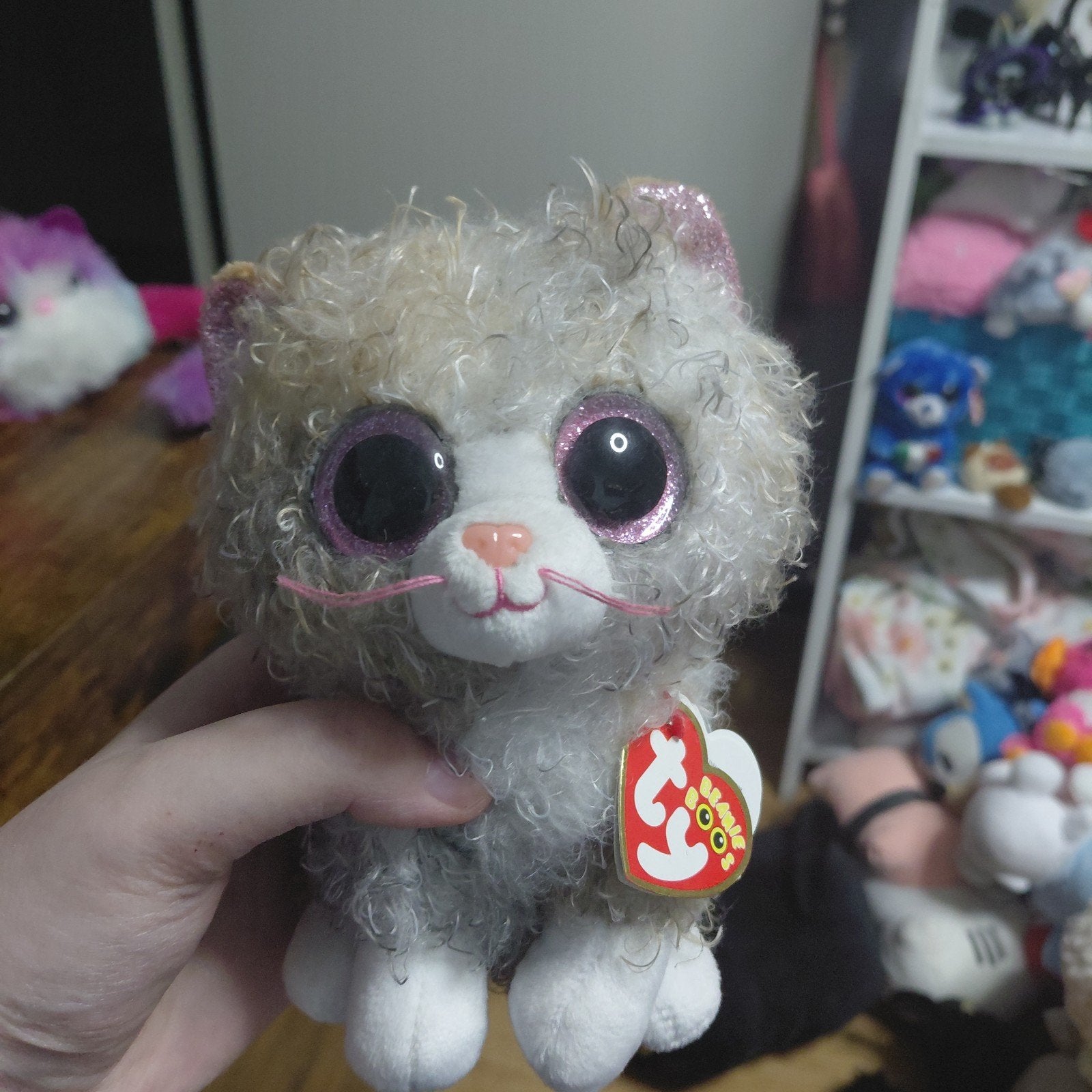Ty Beanie Boos Scrappy the Cat knuffel, Overige karakters, Grijs, Nieuw, Ophalen of Verzenden