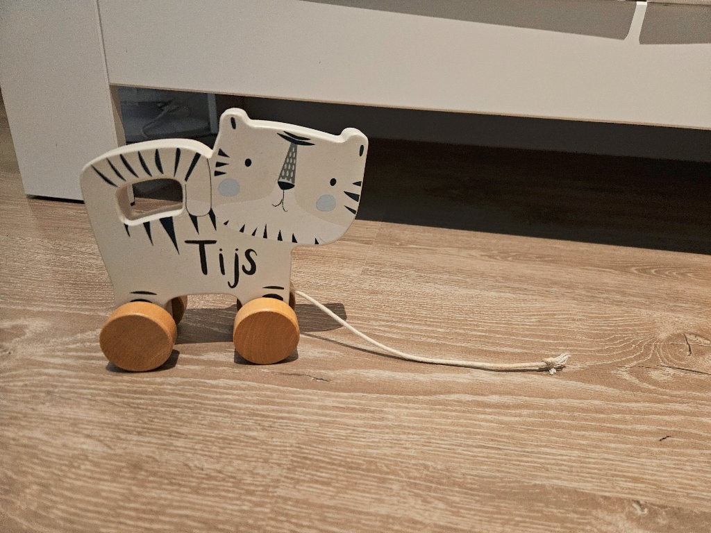 baby speelgoed met de naam TIJS, Ophalen of Verzenden, Gebruikt, Rammelaar