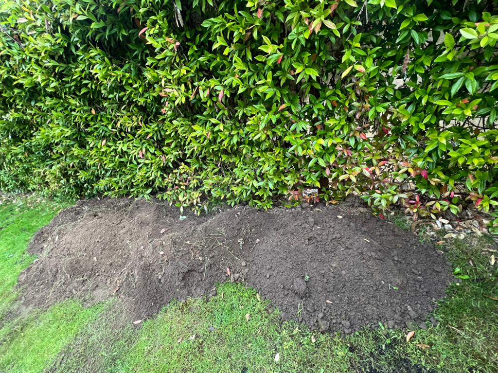 +/- 6 m3 tuinaarde/ Tuinzand / ophoogzand/ aarde/ grond, Ophalen, Tuinaarde