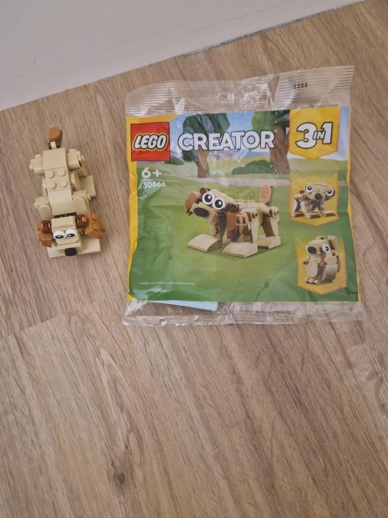 30666 LEGO Hondje, Lego, Ophalen of Verzenden, Zo goed als nieuw, Compleet