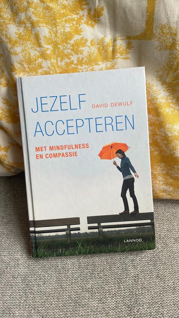 David Dewulf - Jezelf accepteren incl, Ophalen of Verzenden, Zo goed als nieuw, David Dewulf