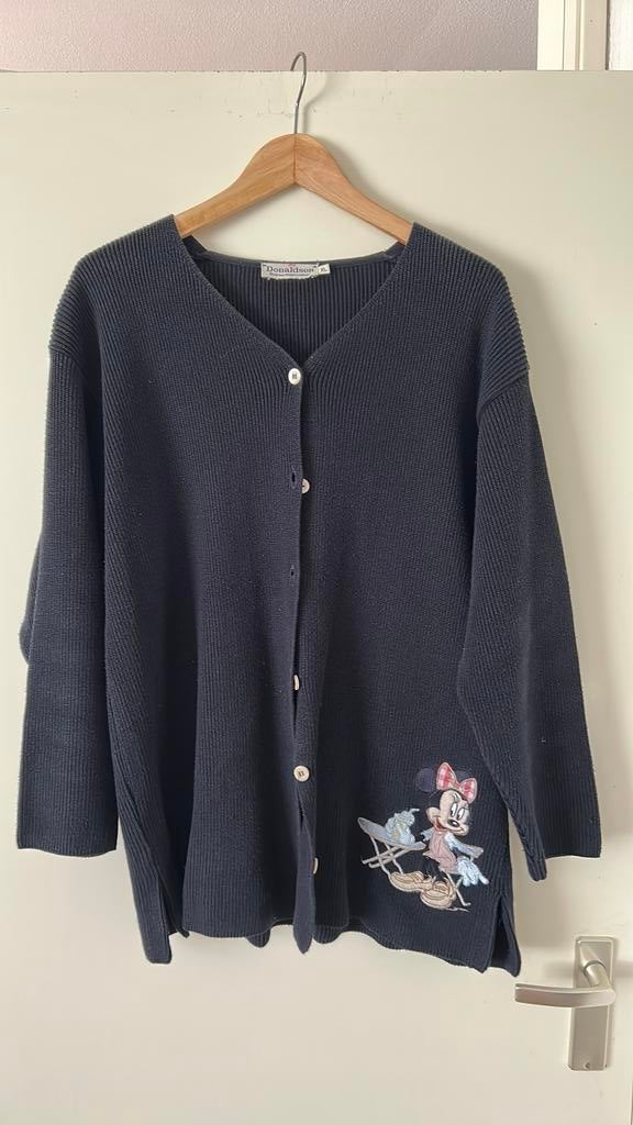 Donaldson vest, Ophalen of Verzenden, Zo goed als nieuw, Blauw, Trui of Vest
