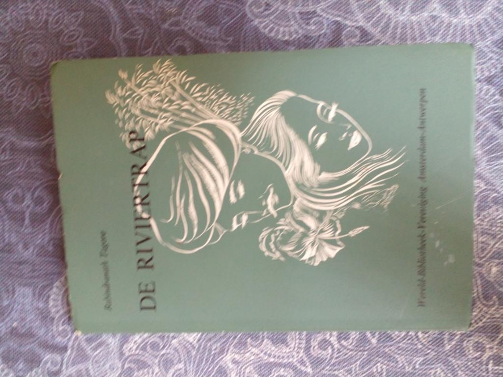 Rabindranath Tagore - De Riviervallei & Zwervende Vogels, Boeken, Ophalen of Verzenden, Gelezen, Rabindranath Tagore, Wereld overig