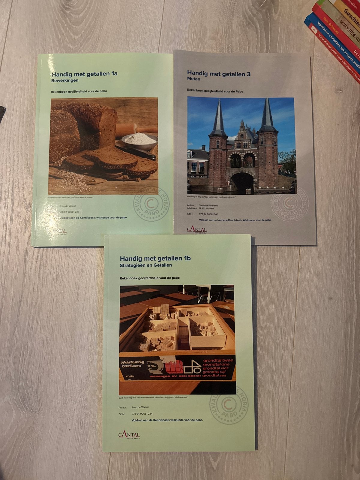Handig met getallen 1a, 1b en 3 - Rekenboeken Pabo, Boeken, Ophalen of Verzenden, Beta, Gelezen, HBO