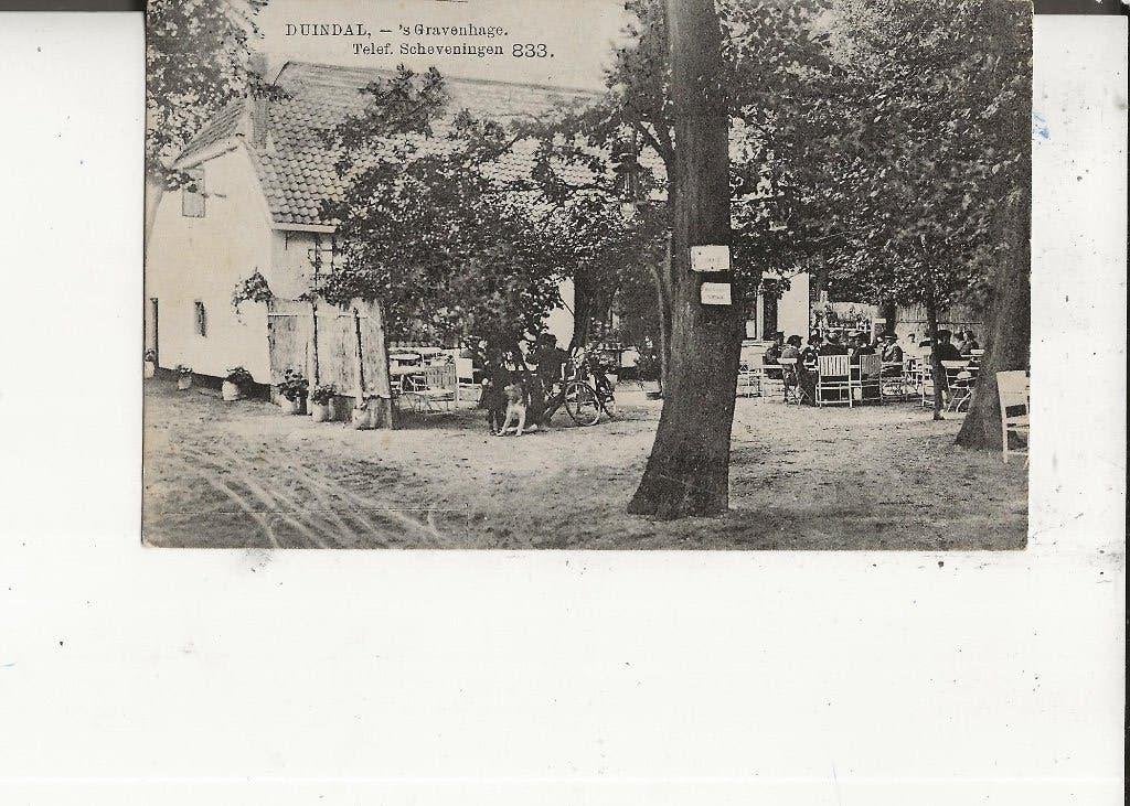 den Haag Duindal met Terras, Ophalen of Verzenden, Voor 1920, Gelopen, Zuid-Holland