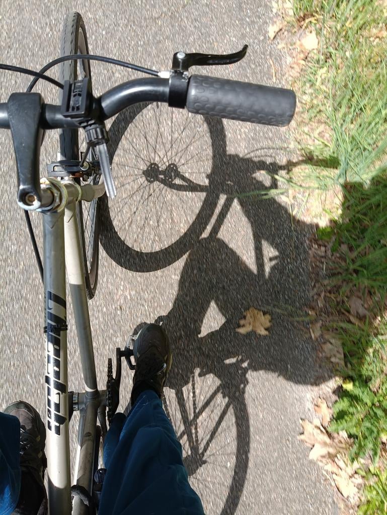 Fixie Stadsfiets, Overige merken, Terugtraprem, Gebruikt, Ophalen of Verzenden