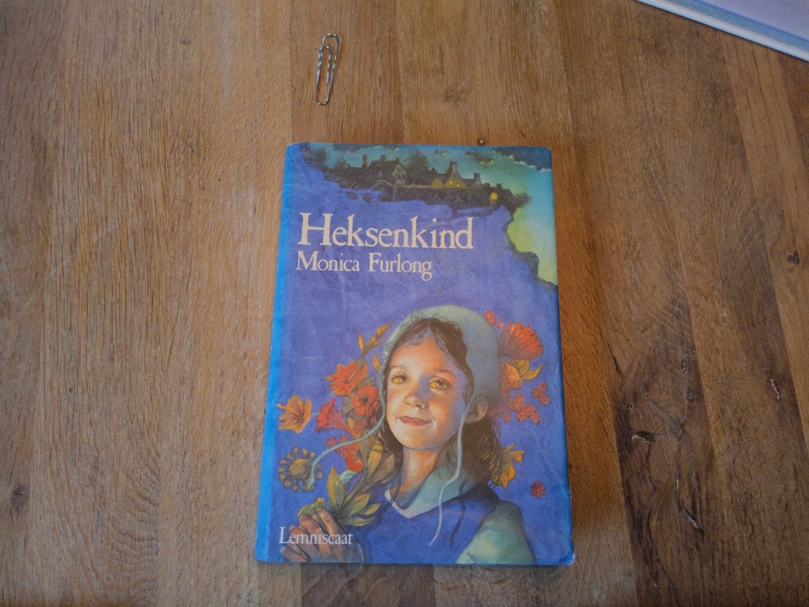 Heksenkind - Monica Furlong, Boeken, Ophalen of Verzenden, Zo goed als nieuw, Nederland, Monica Furlong