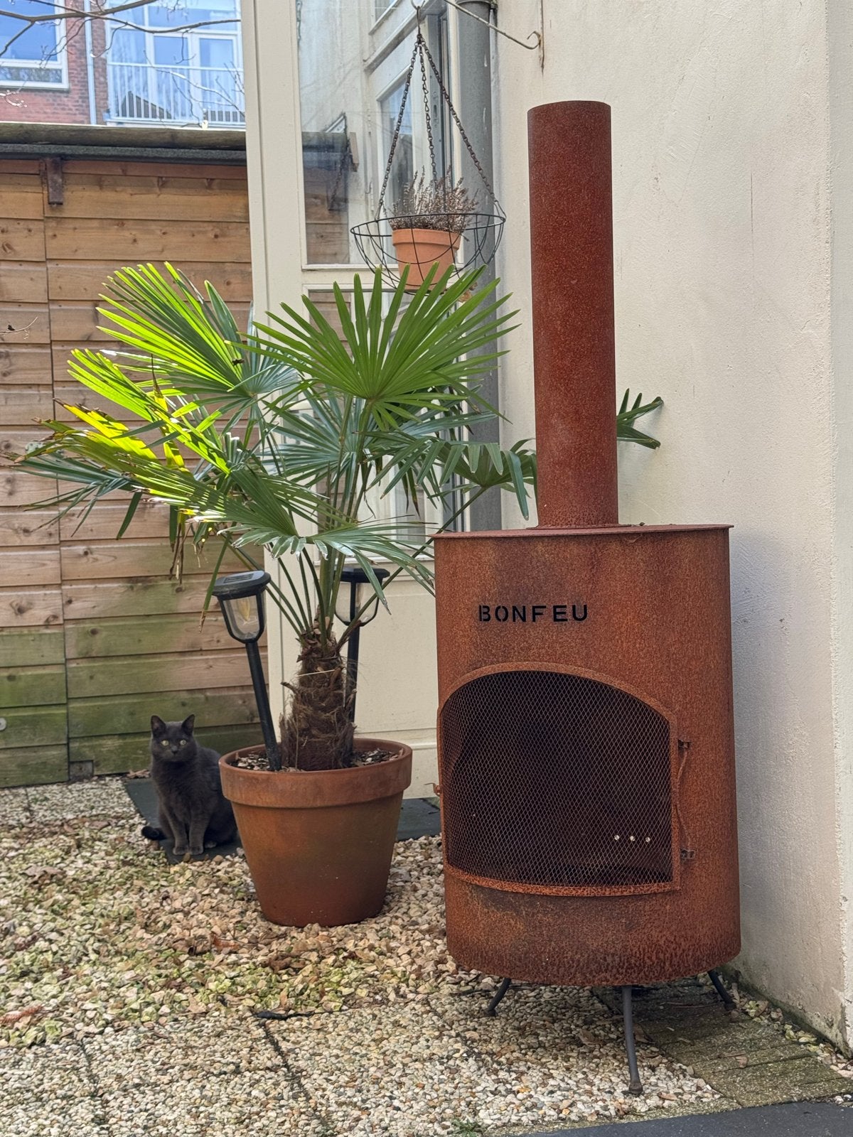 Winterharde Palmboom Terracotta Pot Chinese waaierpalm 140cm, Vaste plant, Bloeit niet, Halfschaduw, Ophalen