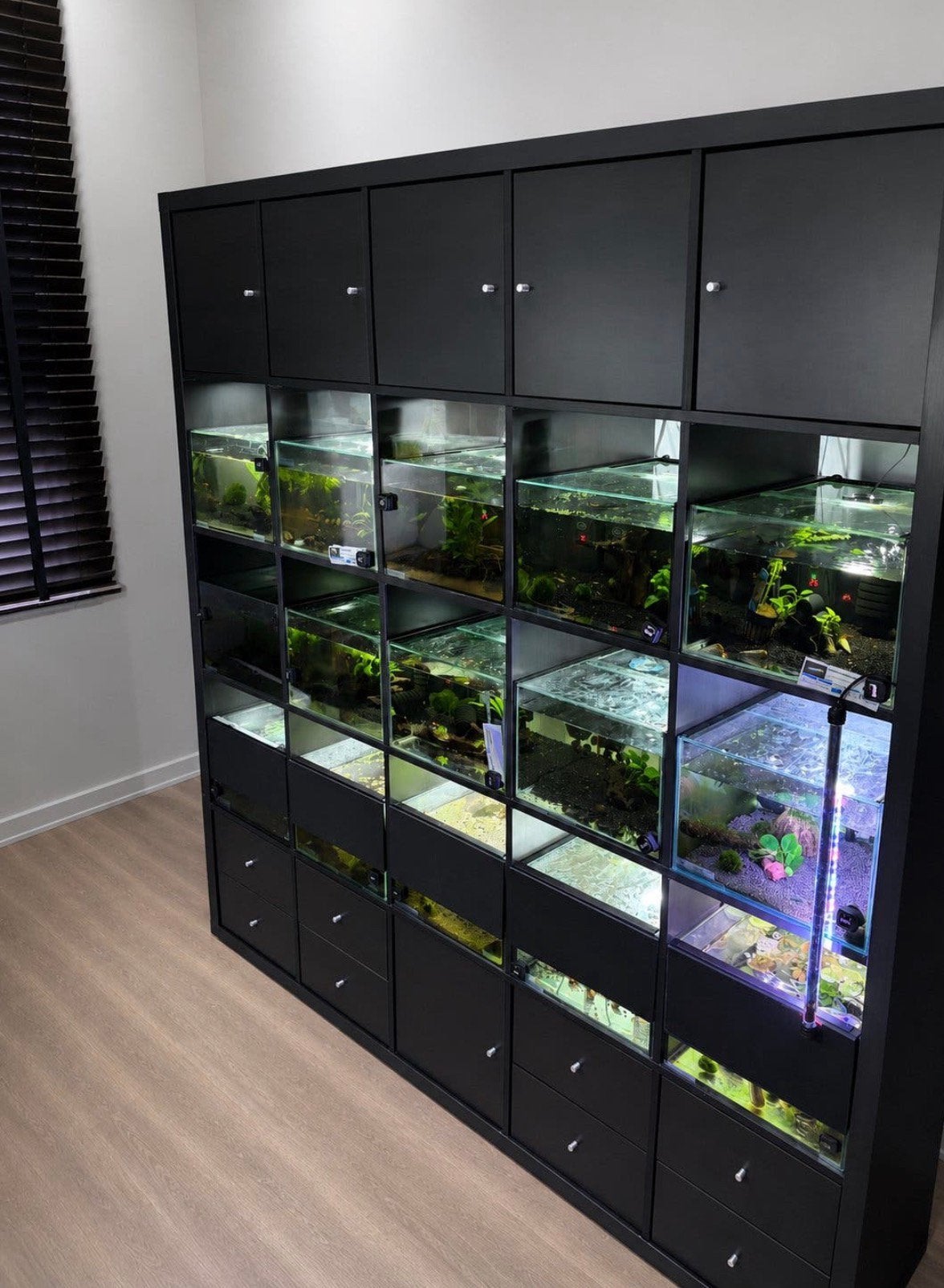 Aquarium stelling 15 tankjes voor garnalen of visjes, Ophalen, Zo goed als nieuw, Gevuld zoetwateraquarium