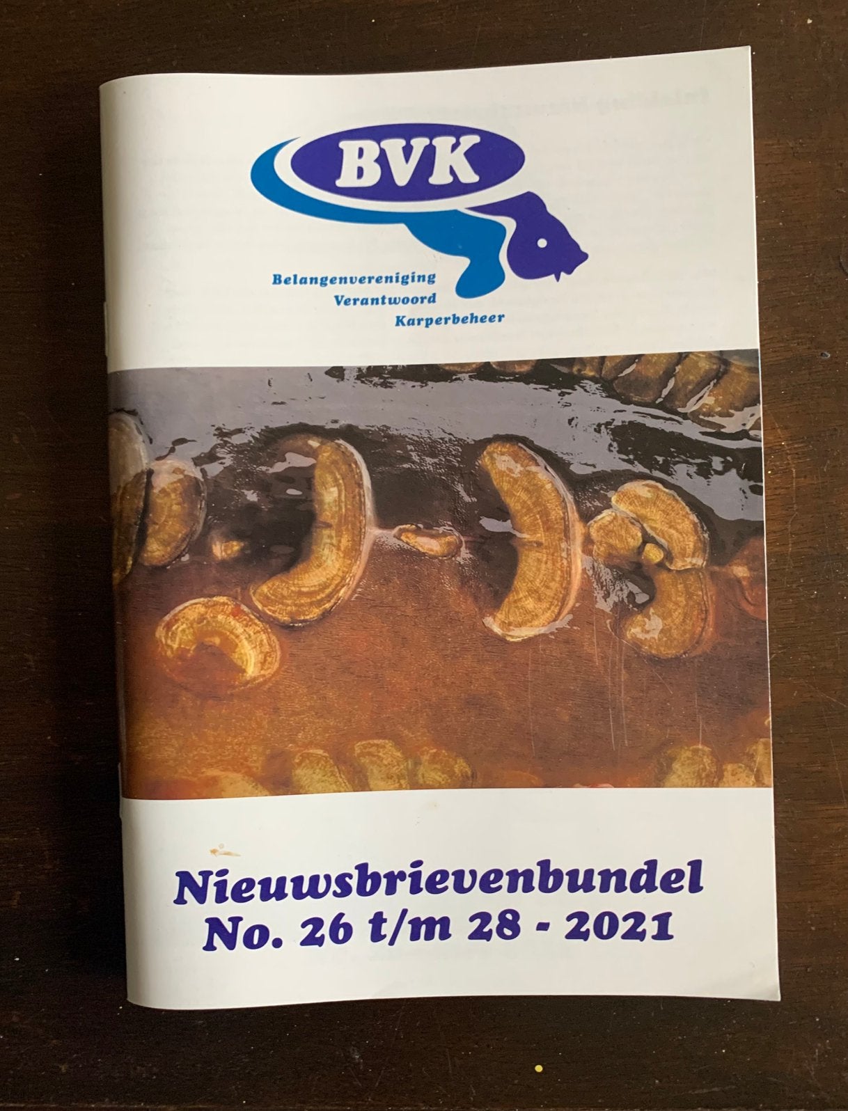 Hengelsport visboeken bvk karperbeheer karpervissen karper, Ophalen of Verzenden, Zo goed als nieuw, Overige typen