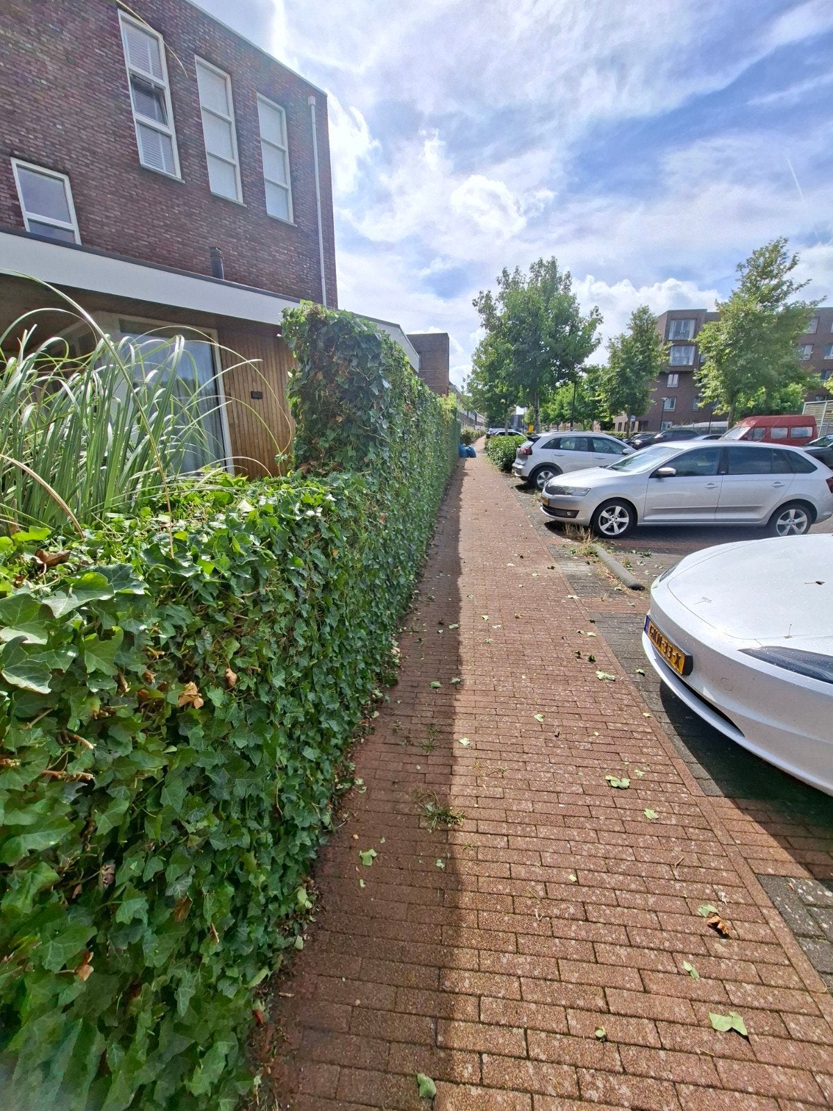 tuinman
Heeft u hulp no, Diensten en Vakmensen