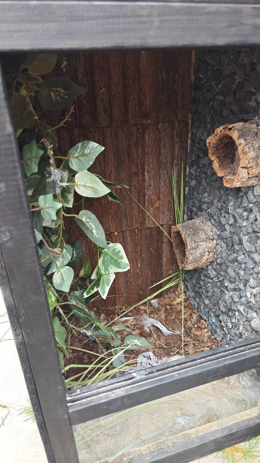 Terrarium, Dieren en Toebehoren, Ophalen of Verzenden