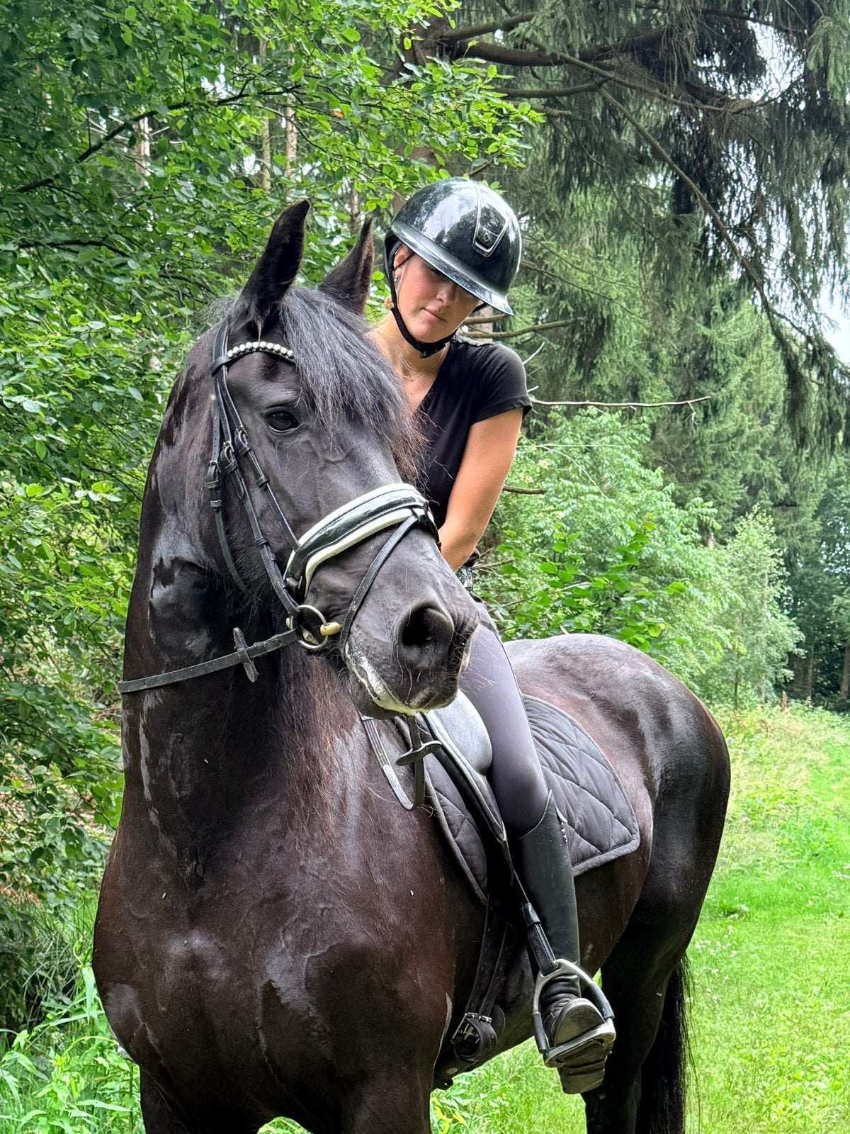 Onwijs lieve en brave friese merrie, Dieren en Toebehoren, Paarden, Merrie, 160 tot 165 cm, Recreatiepaard