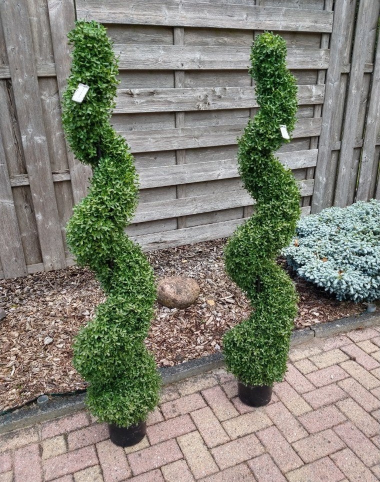 kunstplant buxus torenvormige spiraalvormige., Ophalen, Buxus, Minder dan 100 cm
