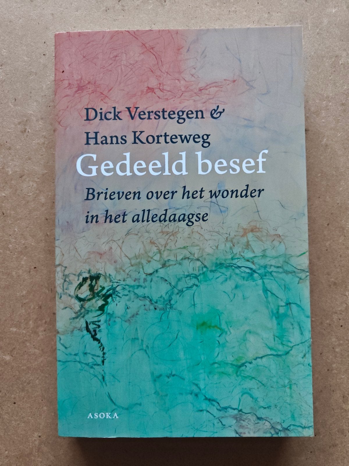 Gedeeld besef: Brieven over het wonder in het alledaagse, Ophalen of Verzenden, Zo goed als nieuw, Dick Verstegen & Hans Korteweg
