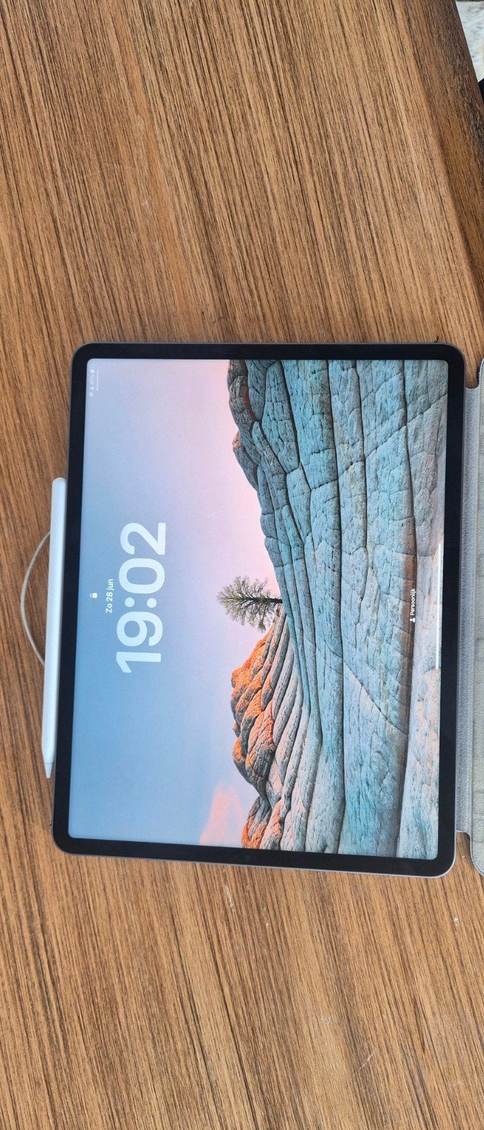 iPad Pro 12.9 inch (5e generatie, 2021) 256 GB, Computers en Software, Apple iPads, Ophalen