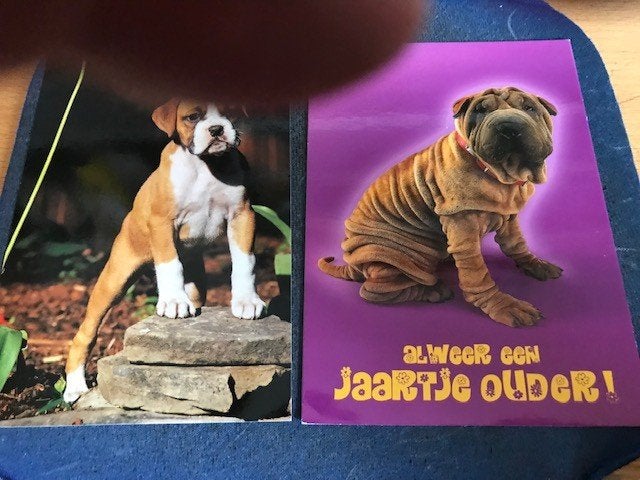 Honden, Verzamelen, Ophalen of Verzenden, Voor 1920, Ongelopen, Hond of Kat