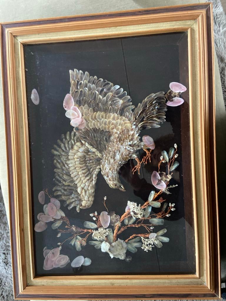 Schelpenschilderij met vogel in houten lijst, Ophalen of Verzenden