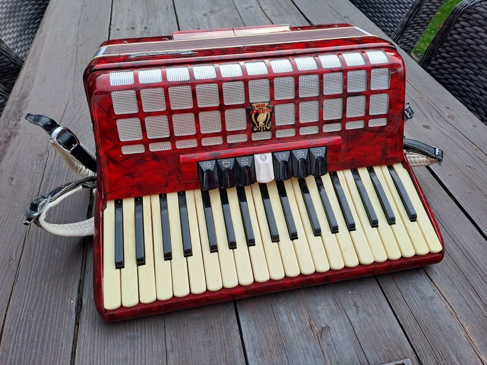 Prachtige Parrot Accordeon met Koffer - Zo goed als nieuw, Overige merken, Overige formaten, Met koffer, Zo goed als nieuw