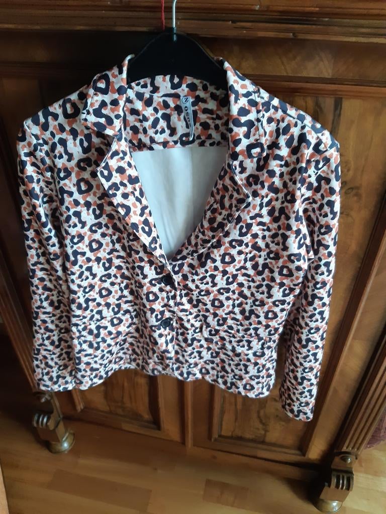 Jasje maat S  Zizo 36, Zizo, Overige kleuren, Nieuw, Ophalen of Verzenden