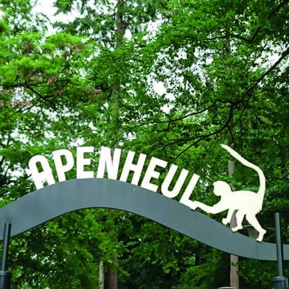 Twee toegangskaarten Apenheul Apeldoorn!, Tickets en Kaartjes, Twee personen, Ticket of Toegangskaart