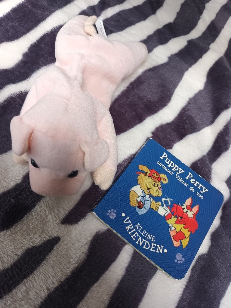 nieuwe knuffel varken + kartonnen boekje, Ophalen of Verzenden, Zo goed als nieuw, Overige typen