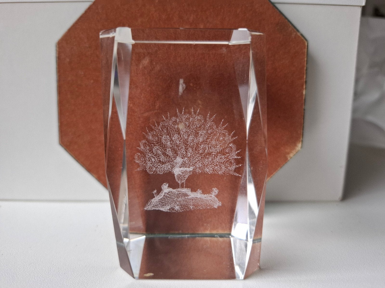 glasblok met pauw lasergravure, Ophalen of Verzenden