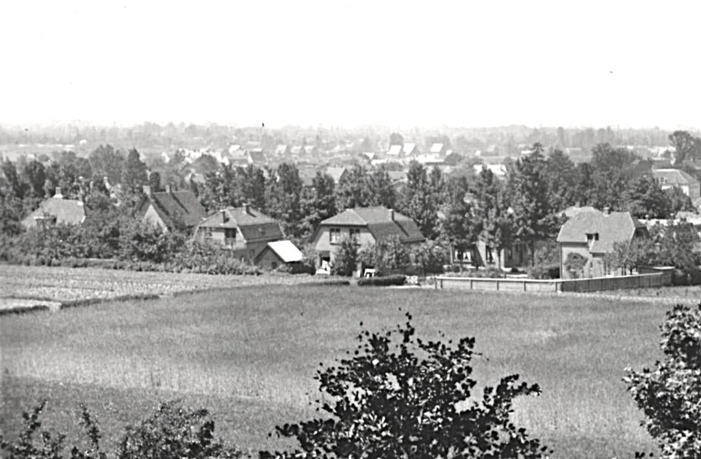 946523 Ede Panorama 1956 Gelopen met postzegel, Ophalen of Verzenden, 1940 tot 1960, Gelopen, Gelderland