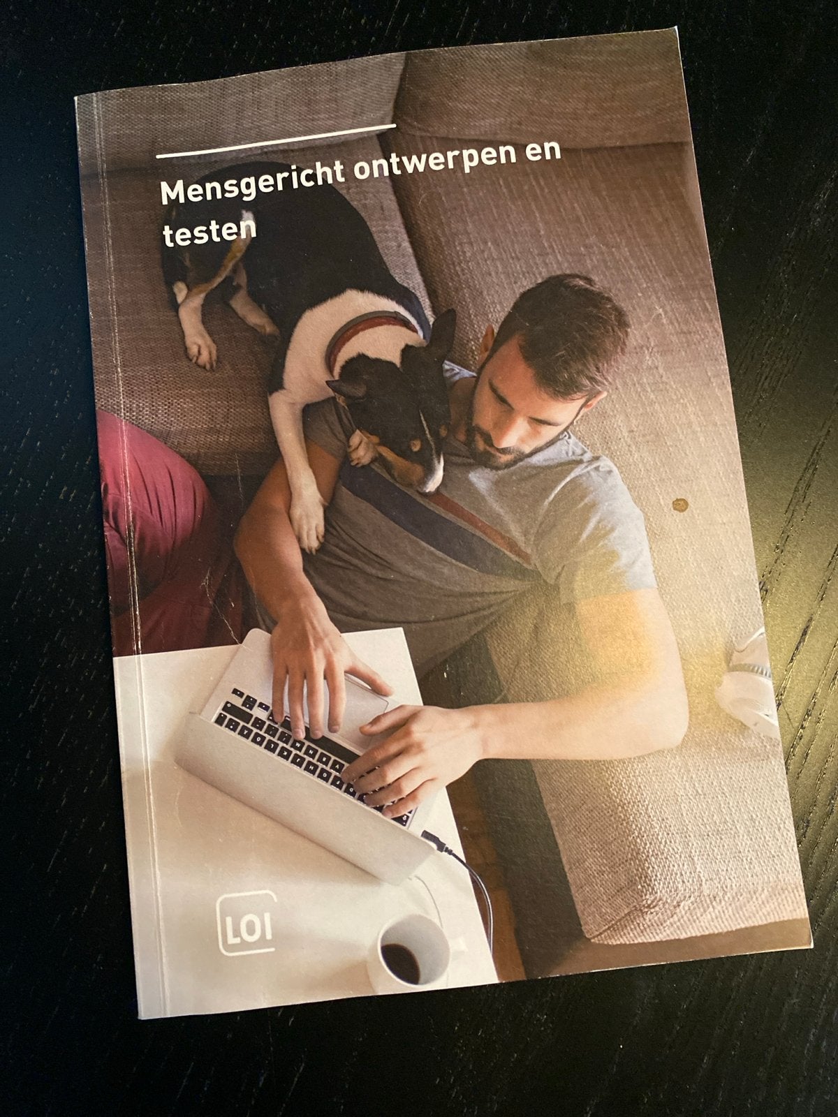 Mensgericht ontwerpen en testen - LOI, Boeken, Studieboeken en Cursussen, Zo goed als nieuw, HBO, Gamma, Ophalen