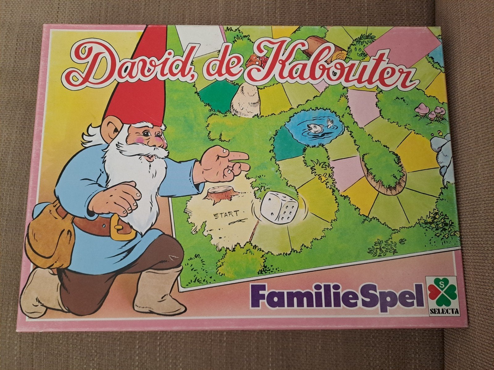 David de Kabouter Familiespel - Compleet en in goede staat, Ophalen, Zo goed als nieuw, Selecta