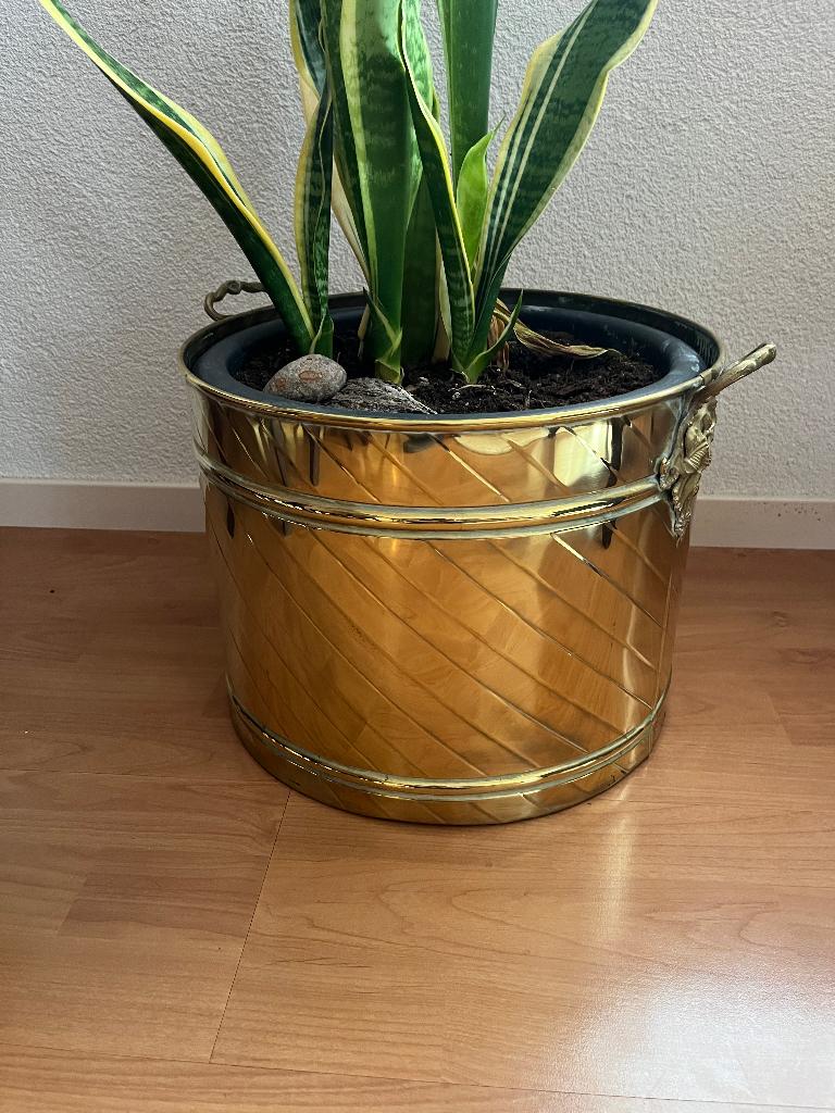 geel koperen bloempot/emmer  35 cm vintage, Ophalen, Koper
