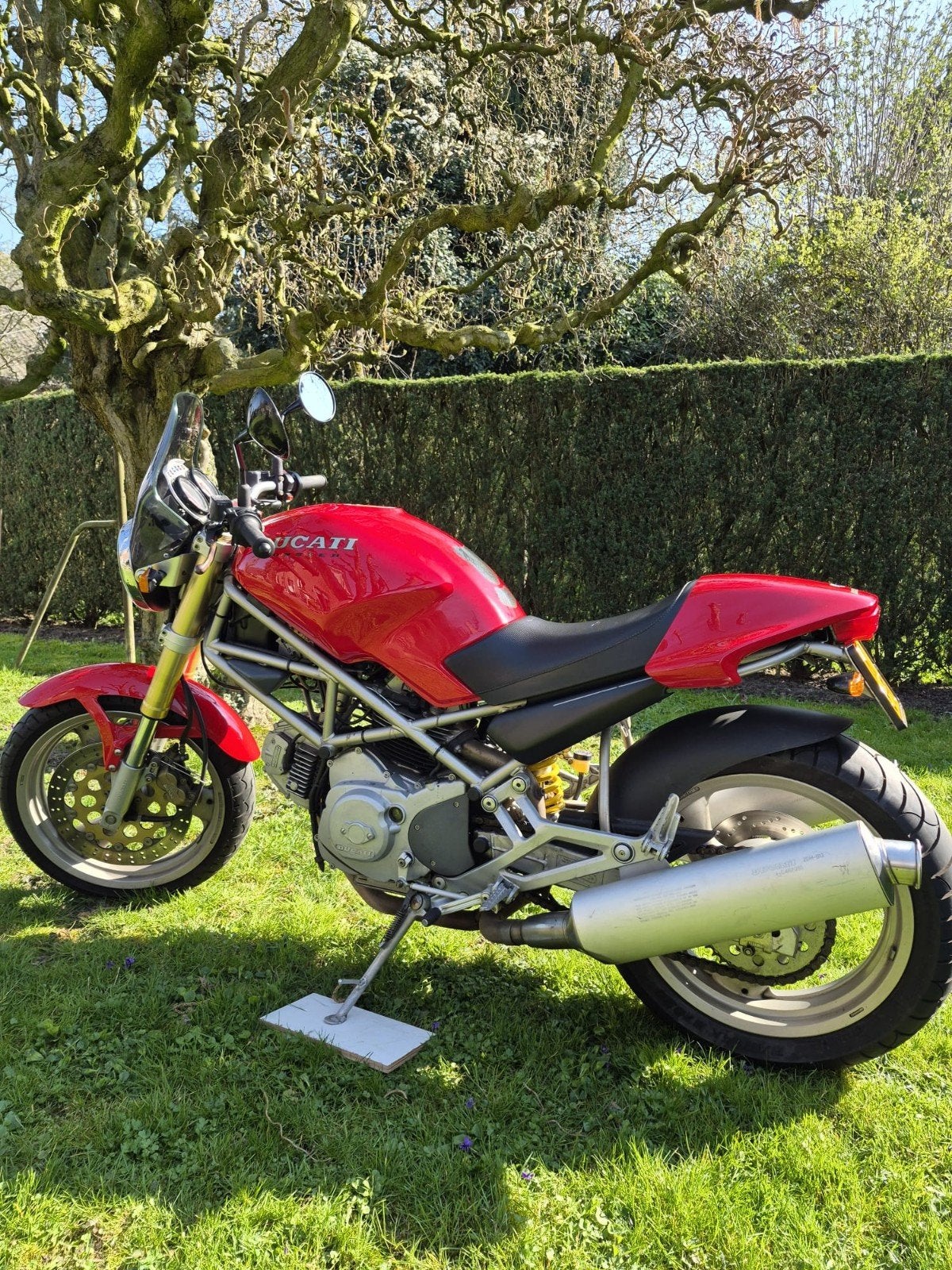 ducati monster 600 27000km!!!, Motoren, Motoren | Ducati, Particulier, Naked bike