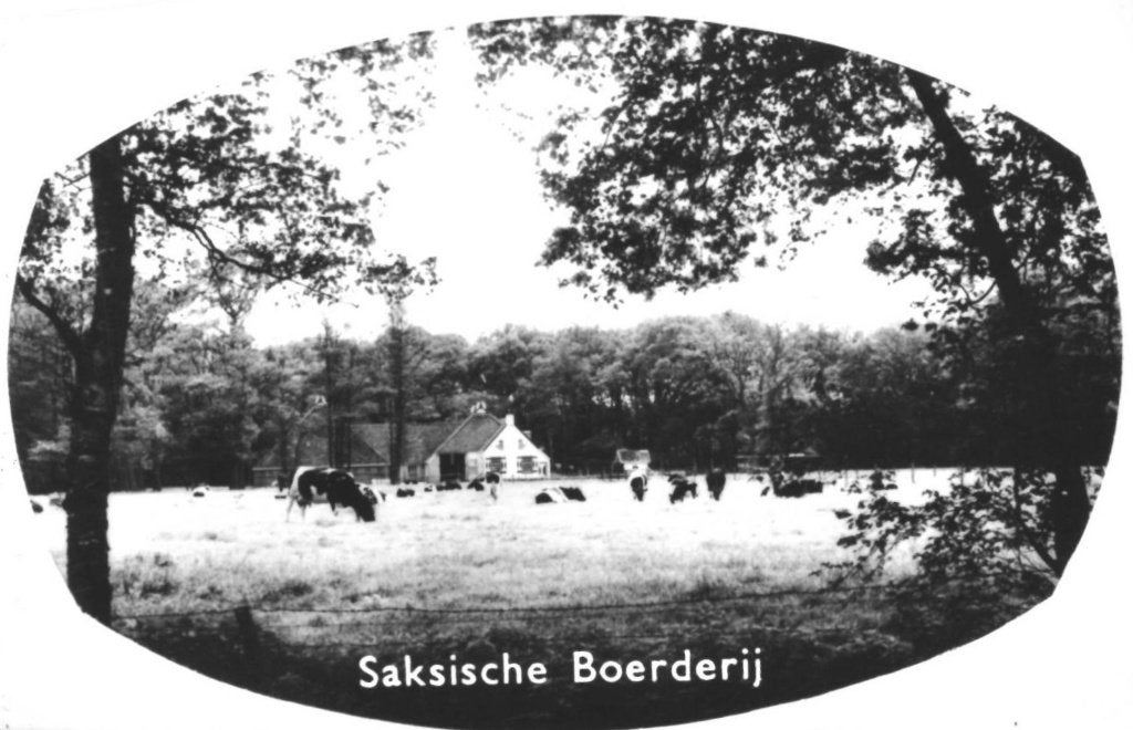 44097 Beetsterzwaag 1965 Friesland Postzegel afgeweekt, Ophalen of Verzenden, 1960 tot 1980, Gelopen, Friesland