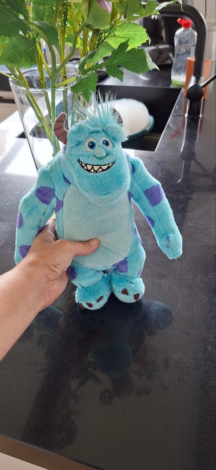 Sully monsters en co, Ophalen