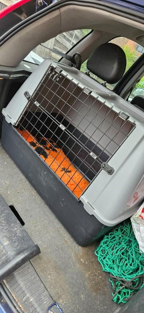 Lichtgewicht Autobench hond, Ophalen, Zo goed als nieuw