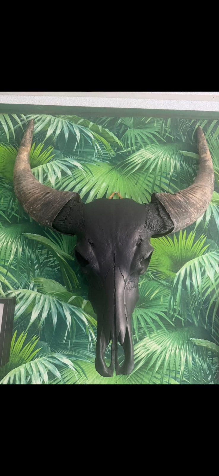 Hoorns, Huis en Inrichting, Woonaccessoires | Wanddecoraties, Ophalen, Zo goed als nieuw