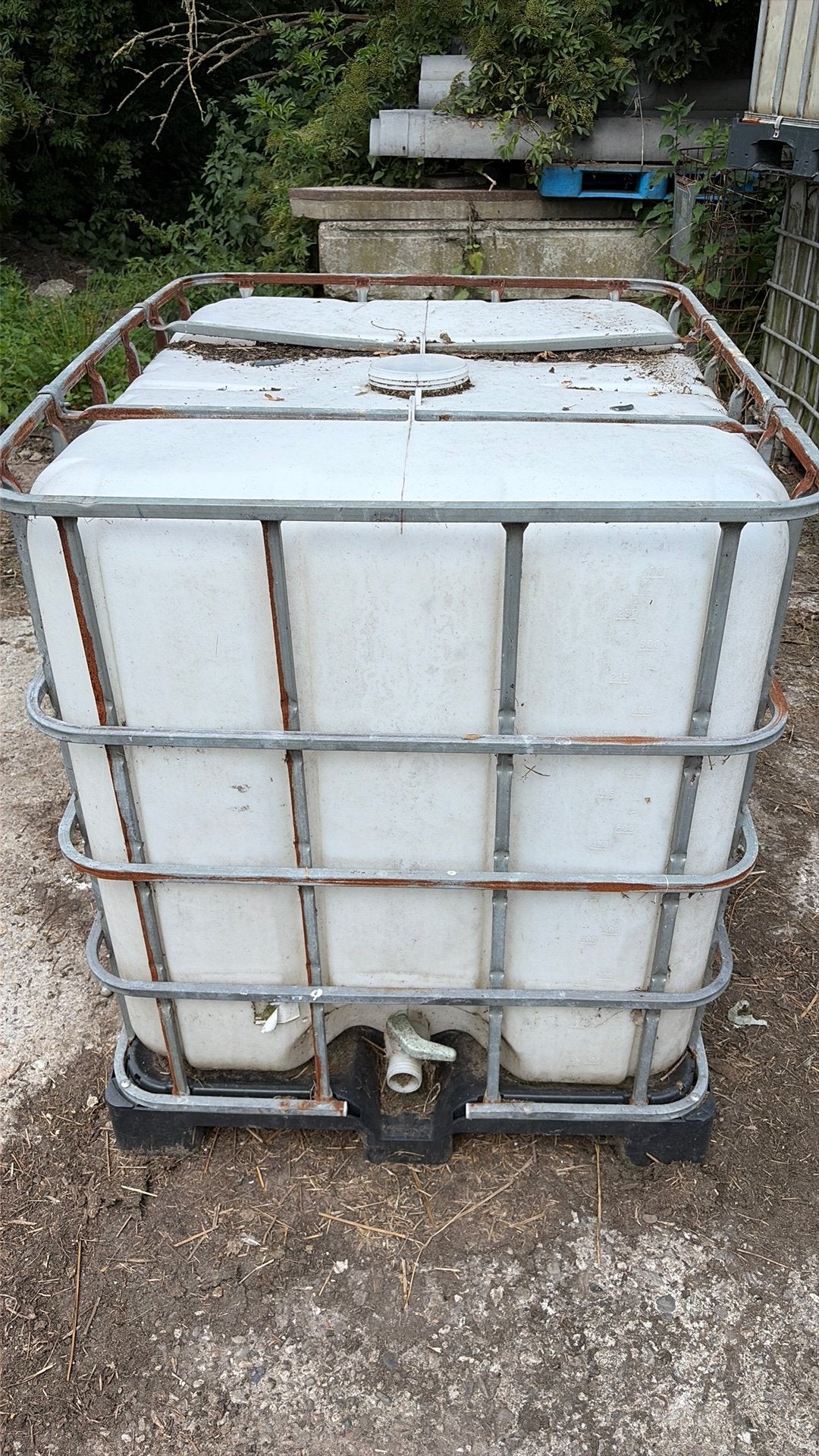 IBC-container / IBC-krat, Dieren en Toebehoren, Stalling en Weidegang